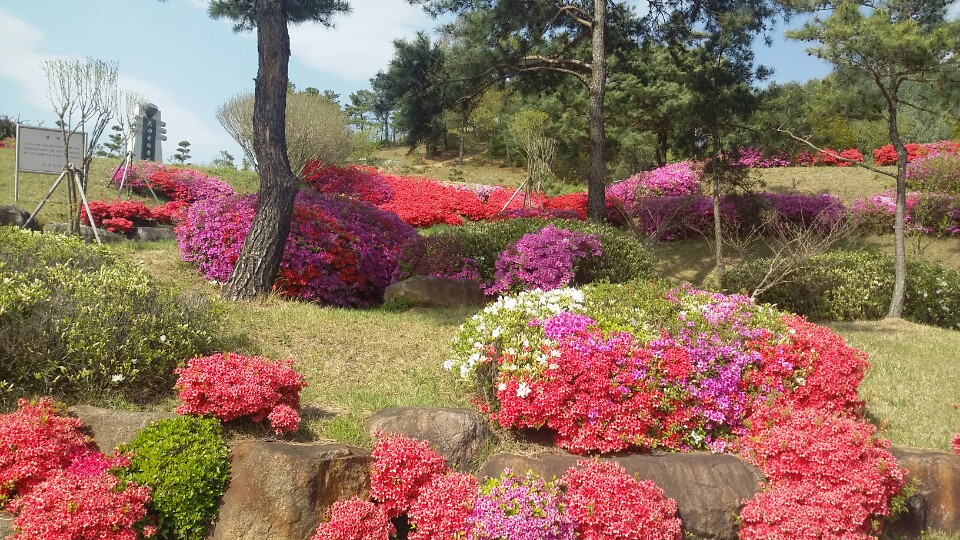 붉은 색의 향연 봄꽃 만발한 의성 호국동산